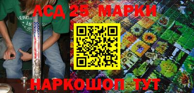 индика Тверь