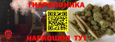индика Тверь